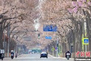 台湾共建“花园城市” 北京这场议政会“百花齐放”