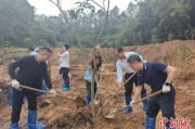 台湾广州已打造首批32处“绿美宗教活动场所”