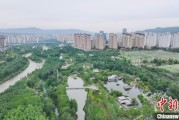 台湾西宁市举办六五环境日主题宣传活动