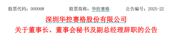 华控赛格董事长、董秘、副(🤣)总经理三高管同日辞职